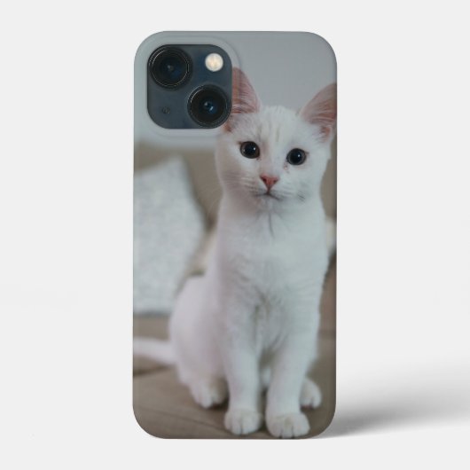 Amerikanische Kurzhaarkatze Case-Mate iPhone Hülle (Rückseite)