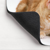 Amerikanische Kurzkatze 2 Mousepad (Ecke)
