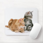 Amerikanische Kurzkatze 2 Mousepad (Mit Mouse)