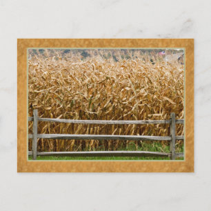 Amerikanische Landwirtschaft Postkarte
