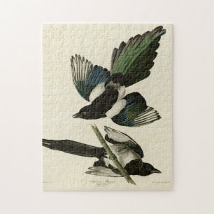 Amerikanische Magpie von Audubons Vögeln Amerikas Puzzle