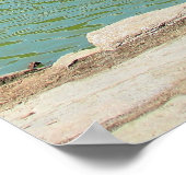 Amerikanische Malerei Poster (Ecke)