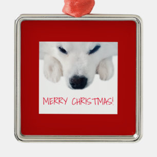 Amerikanische Ornament Aus Metall