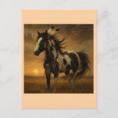 Amerikanische Paint Horse Postcard - Koko Postkarte (Vorderseite)