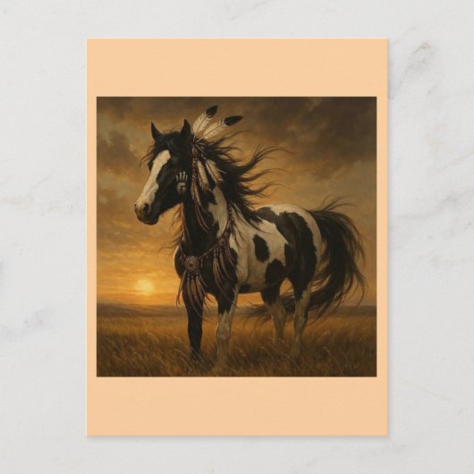 Amerikanische Paint Horse Postcard - Koko Postkarte (Vorderseite)