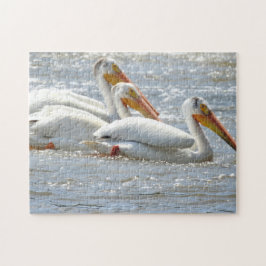 Amerikanische Pelikane Schwimmen im Rive Mississip Puzzle