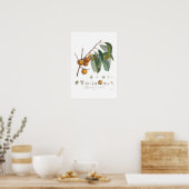 Amerikanische Persimmon Poster (Küche)