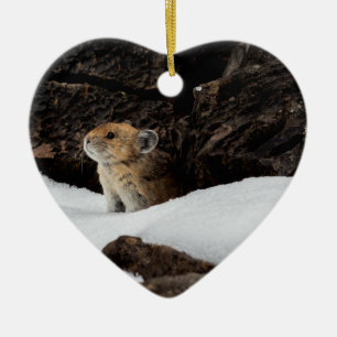 Amerikanische Pika im Schnee mit herzgestreibendem Keramik Ornament