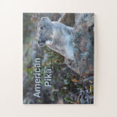 Amerikanische Pika versteckt in den Felsen Puzzle (Vertikal)