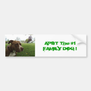 Amerikanische Pitbull Terrier Autoaufkleber