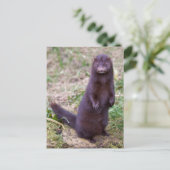 Amerikanische Postkarte (Stehend Vorderseite)