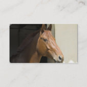 Amerikanische Quarterhorse-Visitenkarte Visitenkarte (Rückseite)