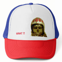 AMERIKANISCHE RADFAHRER-EULE