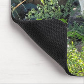 Amerikanische Roadrunner in der Wüste von Arizona Mousepad (Ecke)