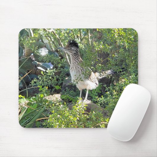 Amerikanische Roadrunner in der Wüste von Arizona Mousepad (Mit Mouse)