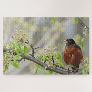 Amerikanische Robin auf einem blühenden Zweig Puzzle