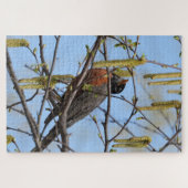 Amerikanische Robin auf Zweig mit Katkins Puzzle (Horizontal)