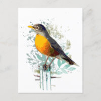 Amerikanische Robin Garden Bird Nature Art