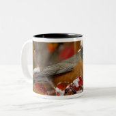 Amerikanische Robin in Black Hawthorn Zweifarbige Tasse (Vorderseite Links)