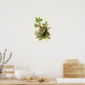 Amerikanische Robin John James Audubon Birds of Am Poster (Küche)