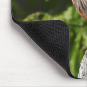 Amerikanische Robin Perched Mousepad (Ecke)