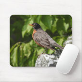 Amerikanische Robin Perched Mousepad (Mit Mouse)