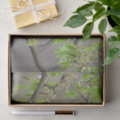 Amerikanische Robin Spring blüht Seidenpapier (Geschenk)