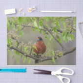 Amerikanische Robin Spring blüht Seidenpapier (Handwerk)