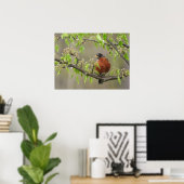 Amerikanische Robin und Spring Blossoms Poster (Heimbüro)