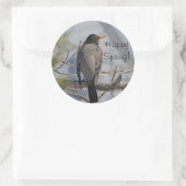 Amerikanische Rotkehlchen-Foto Runder Aufkleber (Tasche)