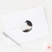 Amerikanische Rotkehlchen-Gebäude Runder Aufkleber (Umschlag)