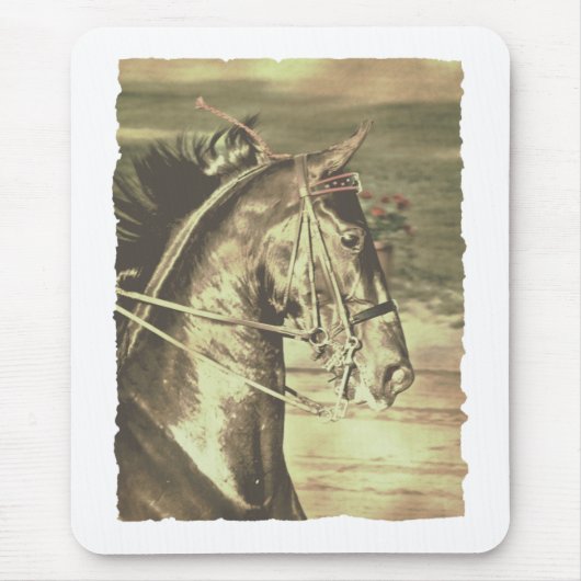 Amerikanische Saddlebred-Imitate Vintag Mousepad (Vorne)