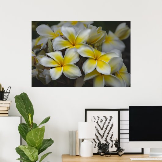 Amerikanische Schönheit, blumengelbe Plumeria Poster (Heimbüro)
