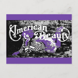 amerikanische Schönheit Postkarte