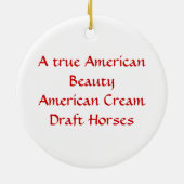 Amerikanische Schönheits-Verzierung Keramikornament (Hinten)