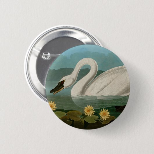 Amerikanische Schwanenvögel Audubon Button (Vorne & Hinten)