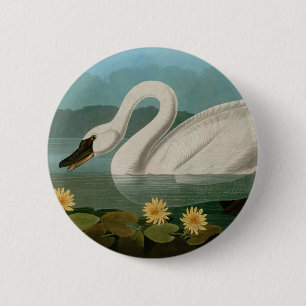 Amerikanische Schwanenvögel Audubon Button