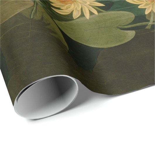 Amerikanische Schwanenvögel Audubon Geschenkpapier (Rolleneckpunkt)