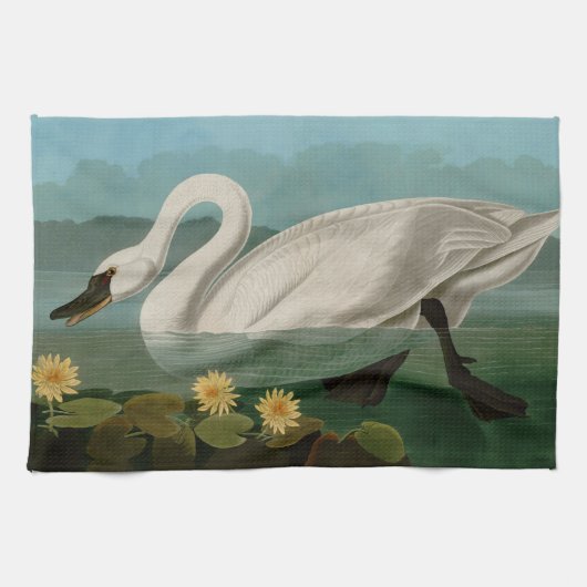 Amerikanische Schwanenvögel Audubon Geschirrtuch (Horizontal)