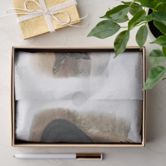 Amerikanische Schwarz-Silber-Fox-Decoupage Seidenpapier (Geschenk)