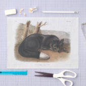 Amerikanische Schwarz-Silber-Fox-Decoupage Seidenpapier (Handwerk)