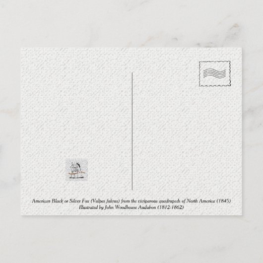 Amerikanische Schwarze oder Silberfuchs in Nordame Postkarte (Rückseite)
