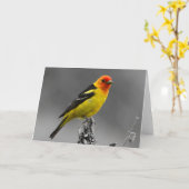 Amerikanische Singvogel-Gruß-Karte Karte (Gelbe Blume)