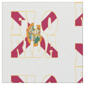 Amerikanische Staatsflagge Floridas Stoff (Nahaufnahme)