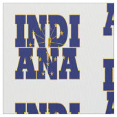 Amerikanische Staatsflagge Indianas Stoff (Nahaufnahme)