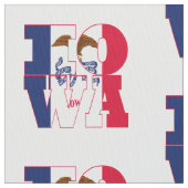 Amerikanische Staatsflagge Iowas Stoff (Nahaufnahme)