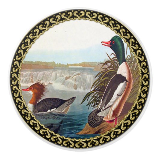 Amerikanische Stockenten in einem Fluss schwimmen Keramikknauf (Vorderseite)