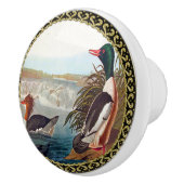 Amerikanische Stockenten in einem Fluss schwimmen Keramikknauf (Rechts)