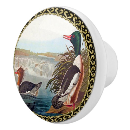 Amerikanische Stockenten in einem Fluss schwimmen Keramikknauf (Rechts)