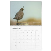 Amerikanische Tierwelt Kalender (Feb 2027)